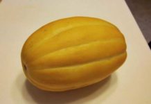 참외 효능과 부작용 고르는법 보관법