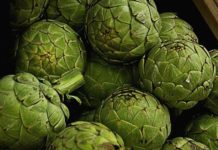 아티초크 효능과 부작용 삶는법 먹는법