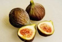 무화과 효능과 부작용 먹는법 보관법