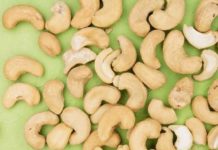 캐슈넛 효능 및 부작용 먹는법 하루 섭취량