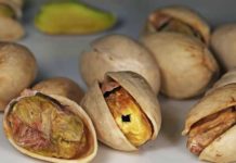 피스타치오 효능과 부작용 먹는법 하루 섭취량