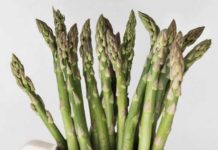 아스파라거스 효능과 부작용 먹는법 보관법