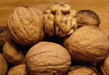 호두 효능 및 부작용 먹는법 보관법