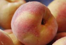 피부미백에 좋은 음식 13가지 알아봐요